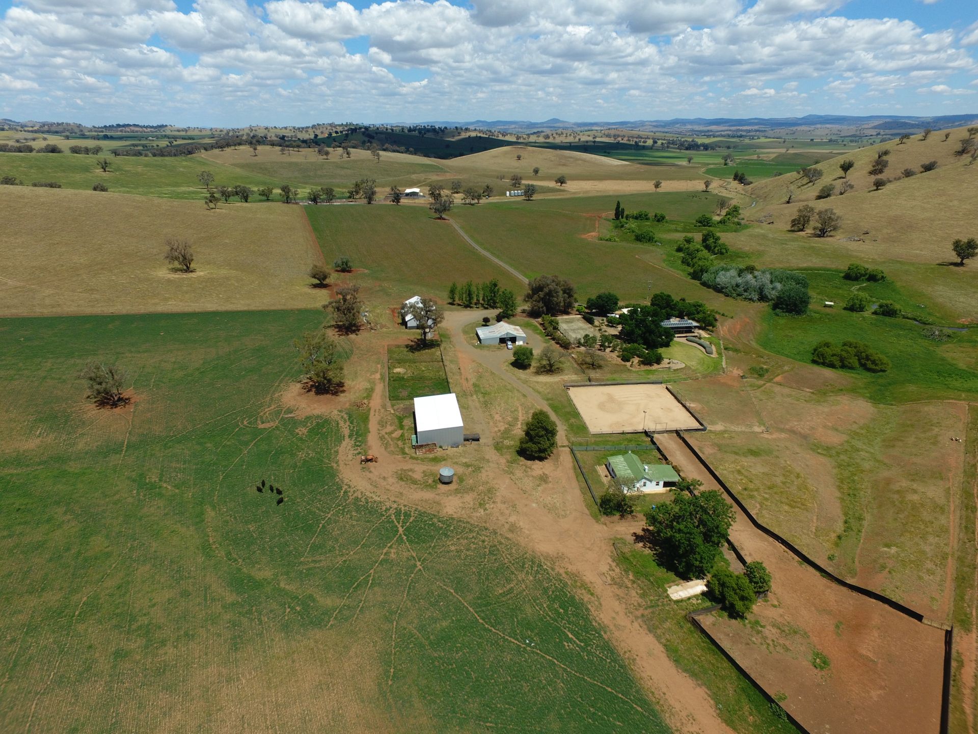 Cootamundra, Cootamundra - Thumbnail 4