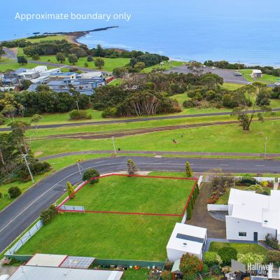 138 Nixon Street, Devonport, Devonport - Thumbnail 5