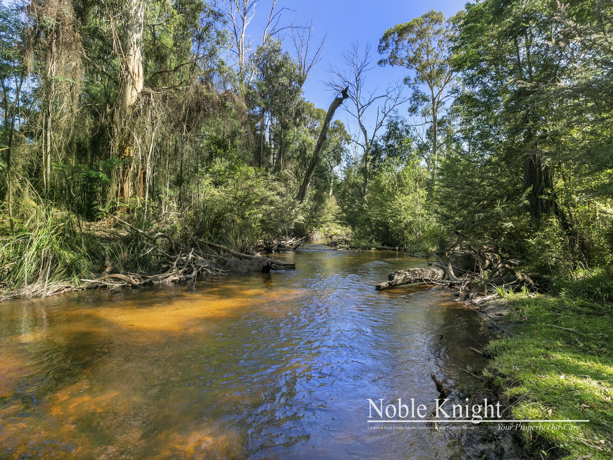 253 Wilhelmina Falls Road Murrindindi
