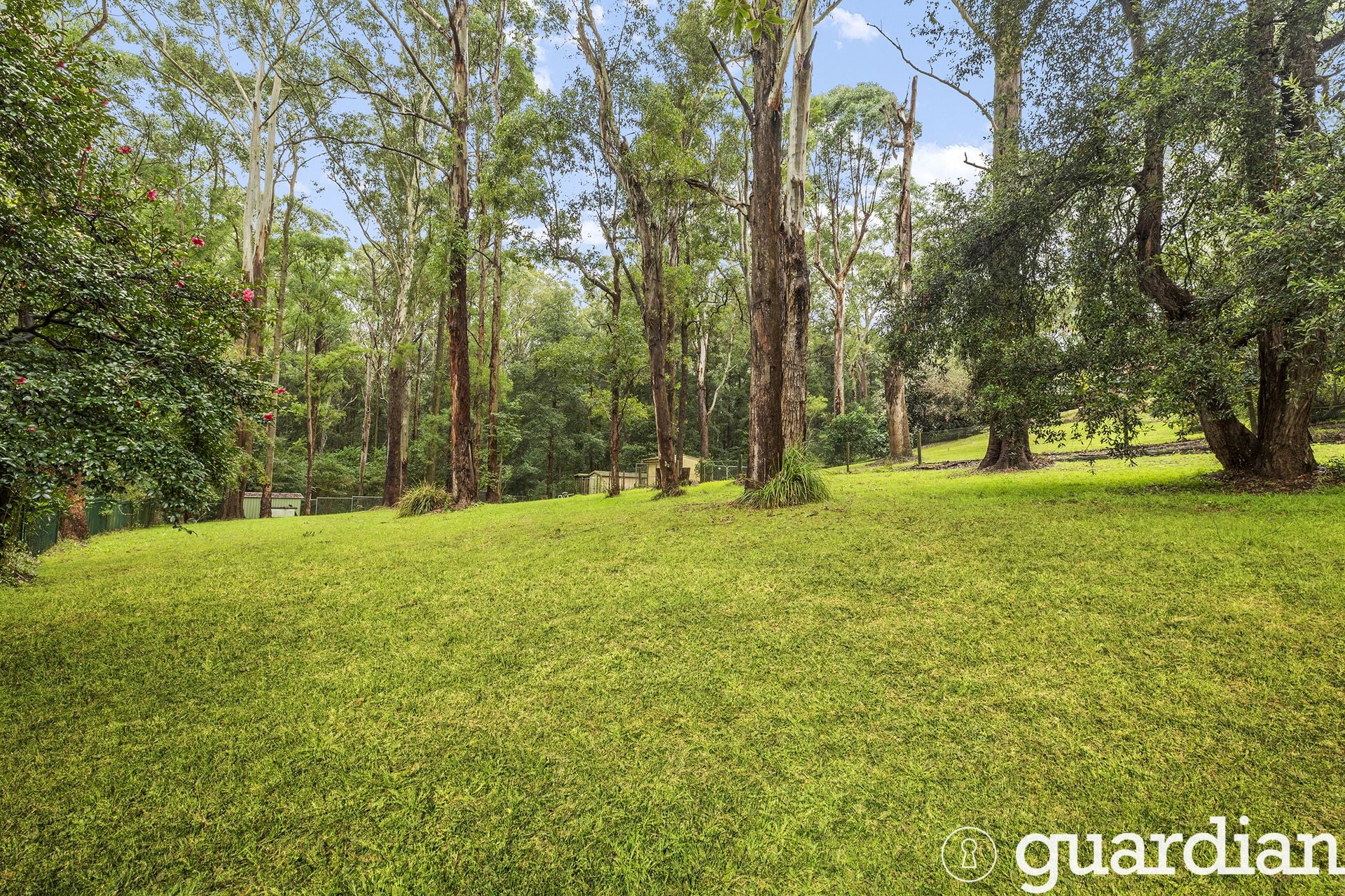37 Derriwong Road Dural NSW, Dural - Thumbnail 5