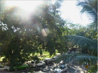 3/2 New South Head Road, Rushcutters Bay