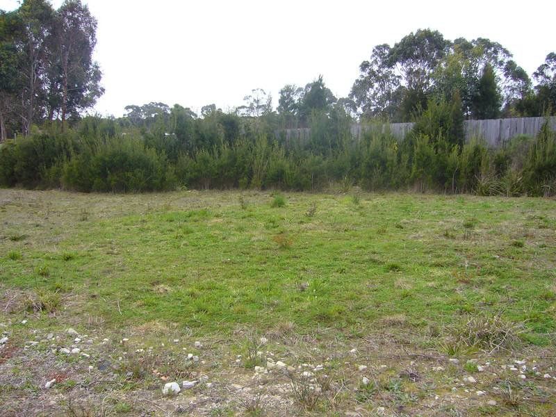 110 River Road, DEVONPORT, Devonport - Thumbnail 6