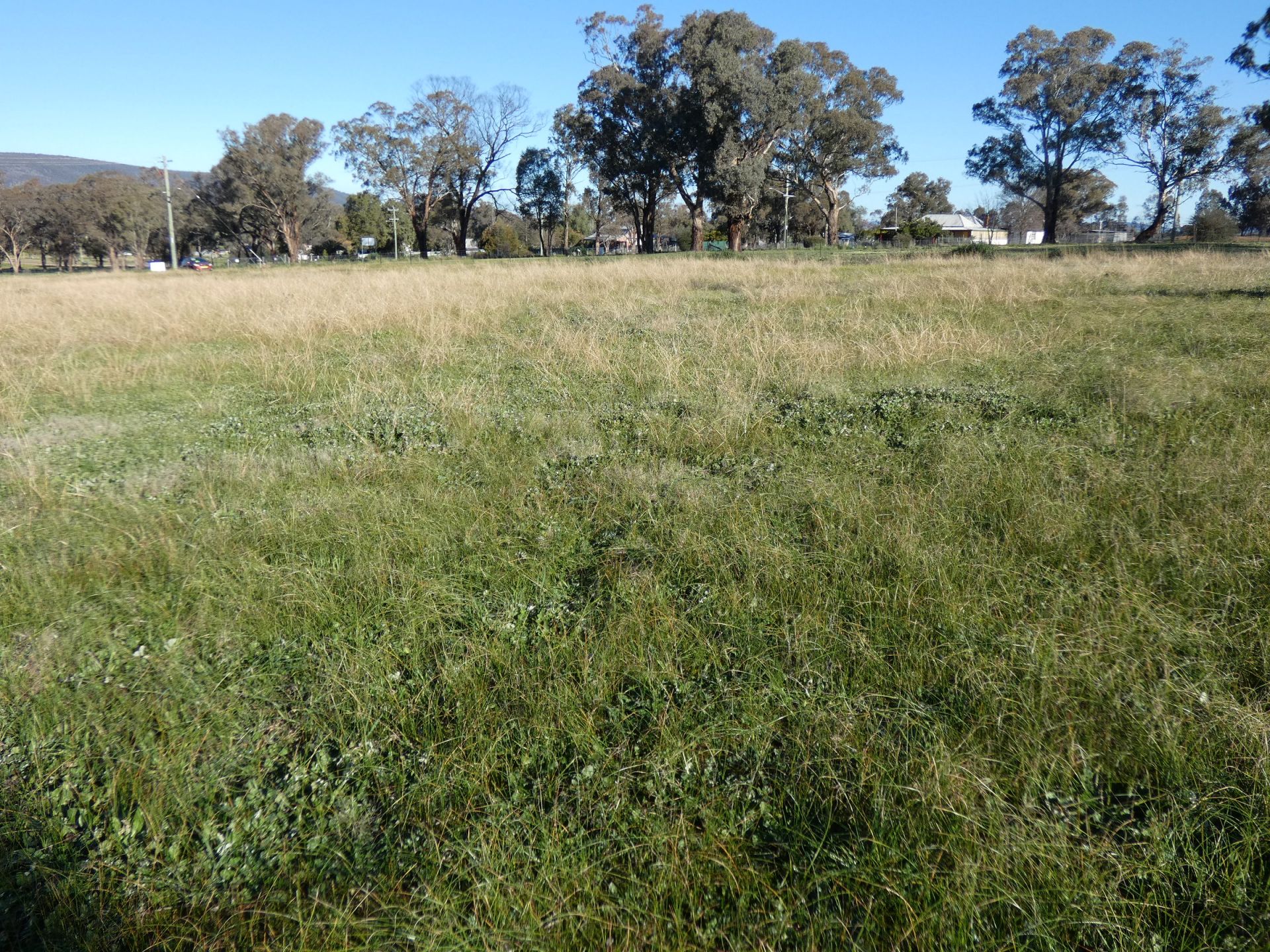 2 Cherry Tree Close, Bendick Murrell NSW, Bendick Murrell - Thumbnail 7
