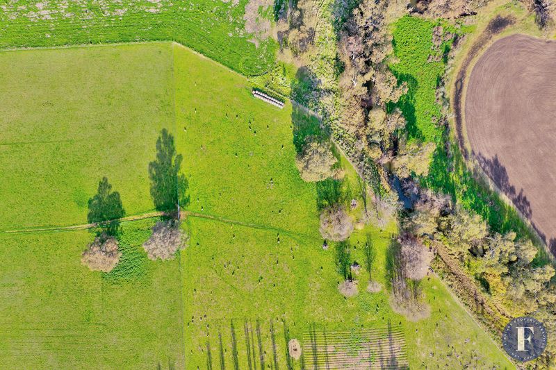 1593 Muttama Road, Muttama NSW, Muttama - Thumbnail 8