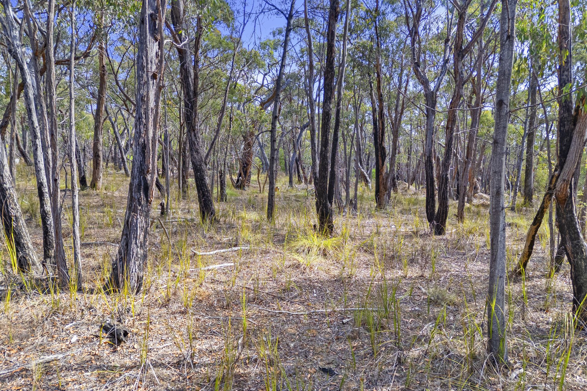 Lot 10, Rozenstein Road - Thumbnail 6