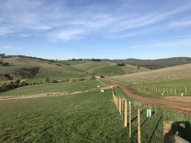 95 Deans Marsh-Lorne Road, Deans Marsh, VIC, Deans Marsh - Thumbnail 2