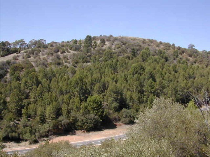 Real Estate For Sale 3/15 Hayward Drive Mount Osmond , SA