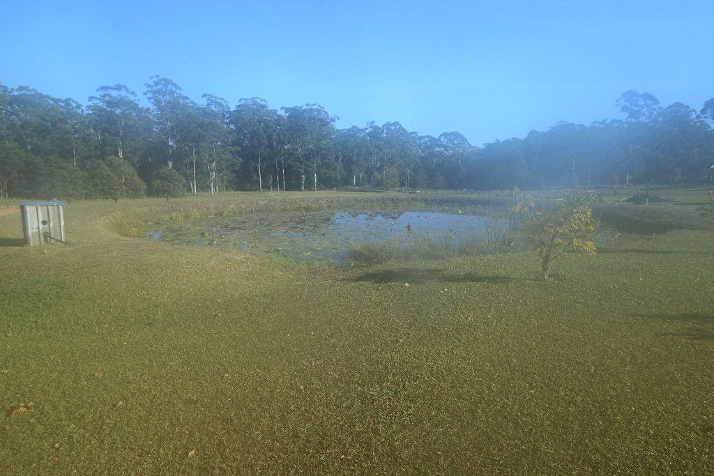 70 Old King Creek Rd, KING CREEK NSW 2446