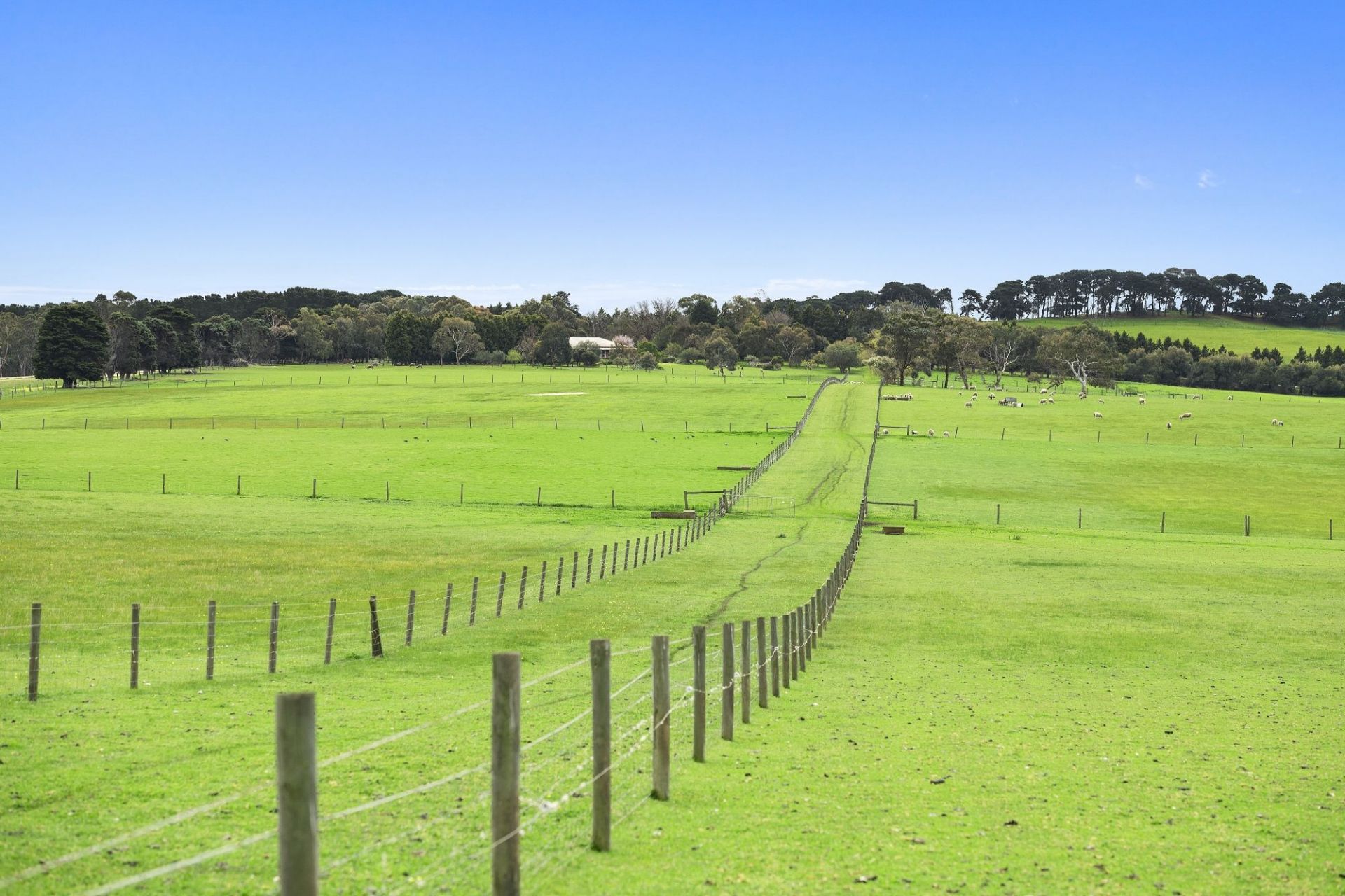 112-150 Church Road Bellarine VIC, Bellarine - Thumbnail 4