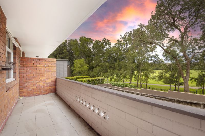 Leafy Outlook Over Oval