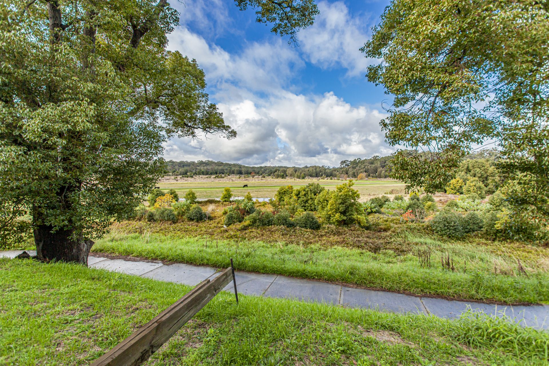 56 Joseph Sheen Drive RAYMOND TERRACE NSW, Raymond Terrace - Image 1
