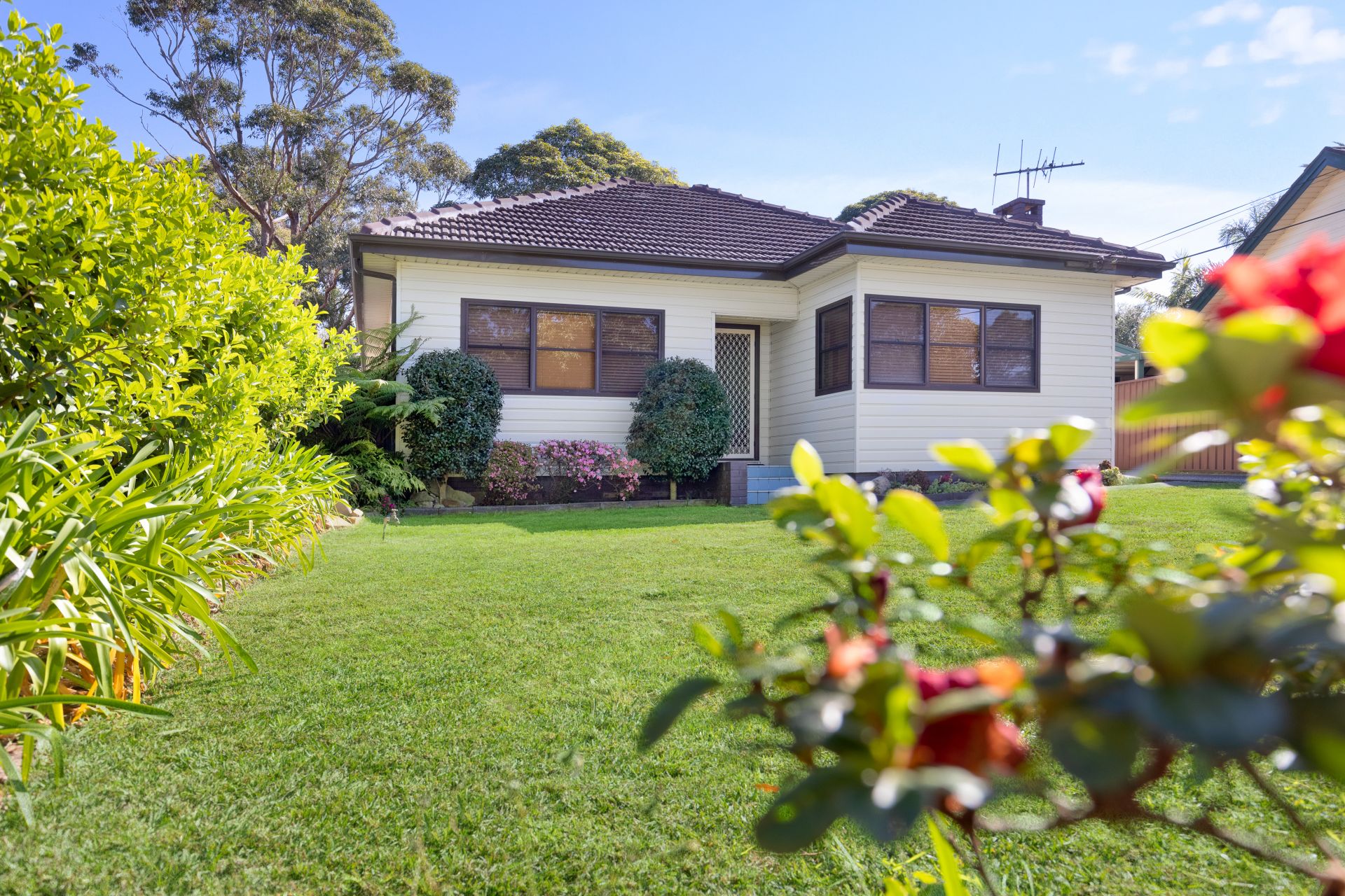 50 Carramar Crescent, Miranda, Miranda - Thumbnail 2