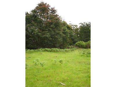 20 Blackwood Lane, DEVONPORT, Devonport - Thumbnail 6