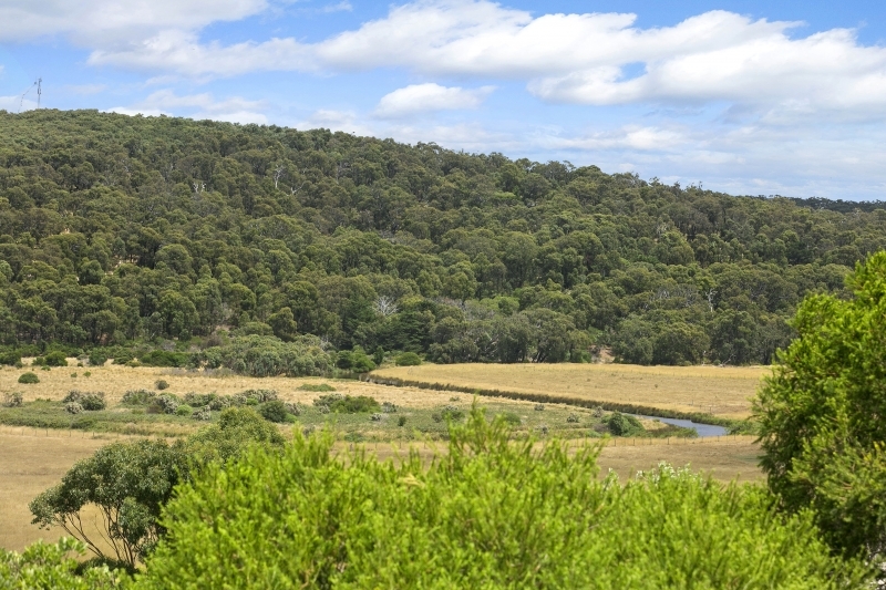 1 Brent Avenue, Aireys Inlet, VIC, Aireys Inlet - Thumbnail 2