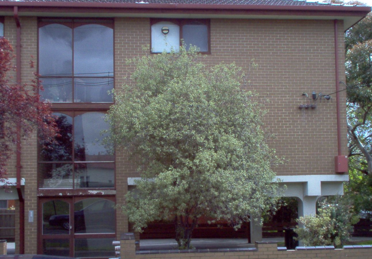 Affordable One Bedroom Unit Un Prize Location With Off-Street Parking