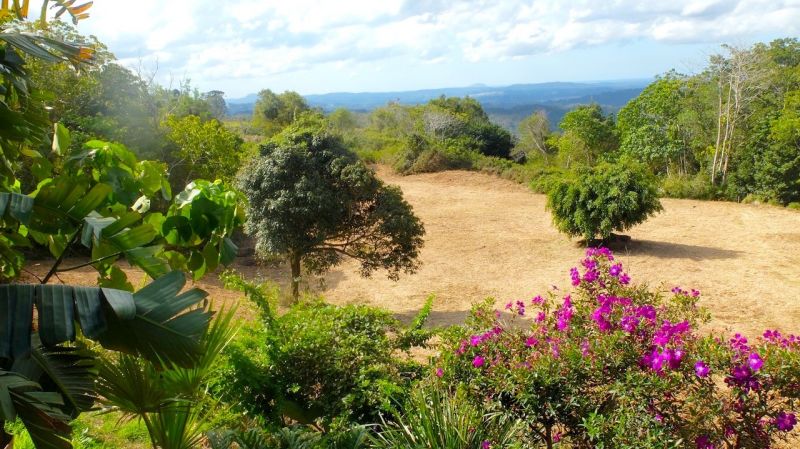 90 Upper Rambert Road Eudlo QLD, Eudlo - Thumbnail 7