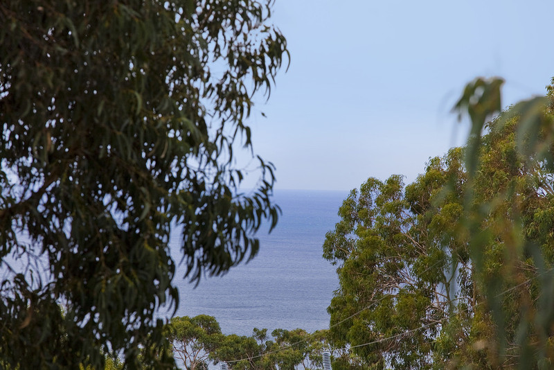 34 Ridge Drive, Kennett River, VIC, Kennett River - Thumbnail 3