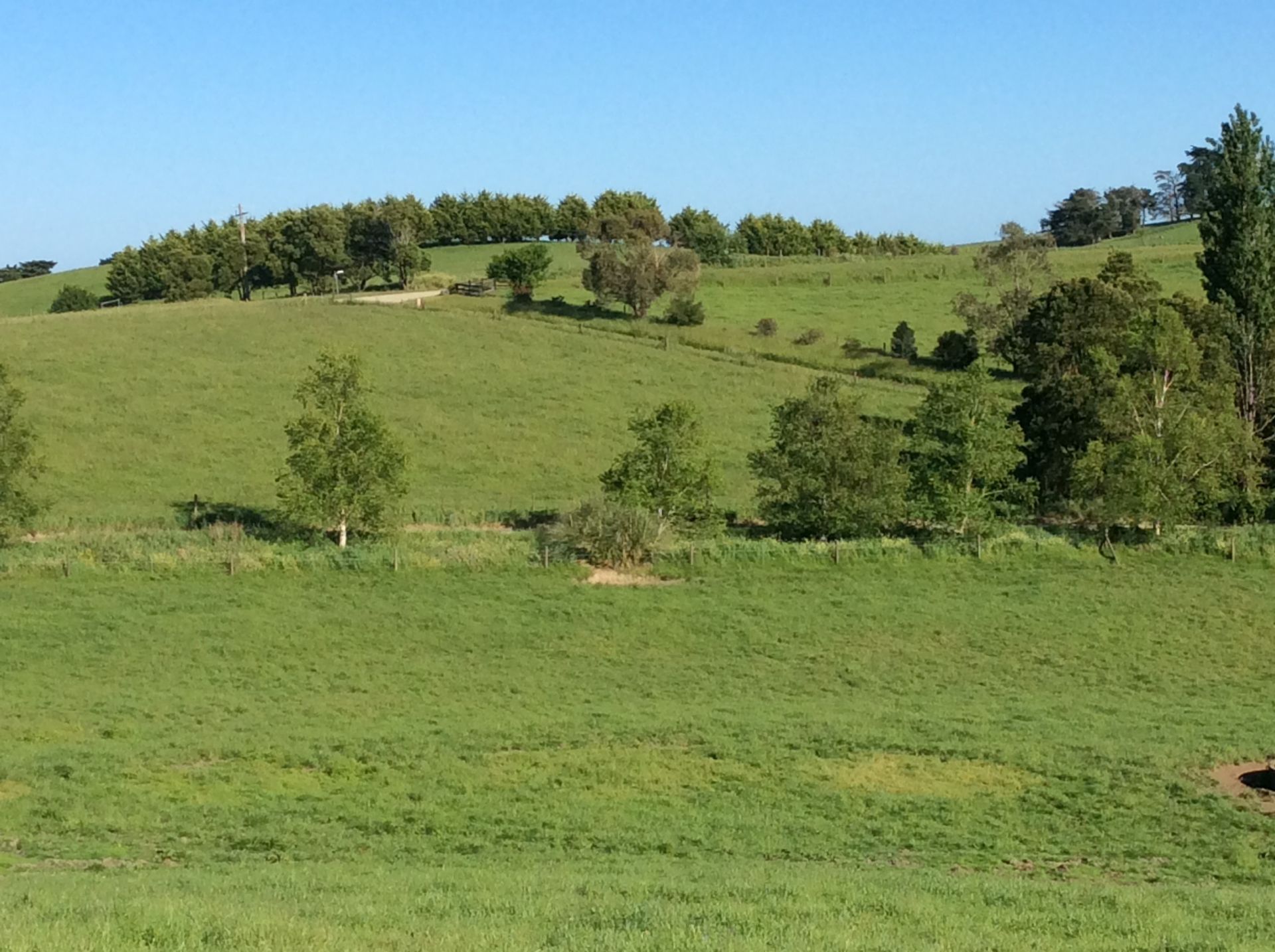 Real Estate For Sale 4 Omearas Road Poowong , VIC