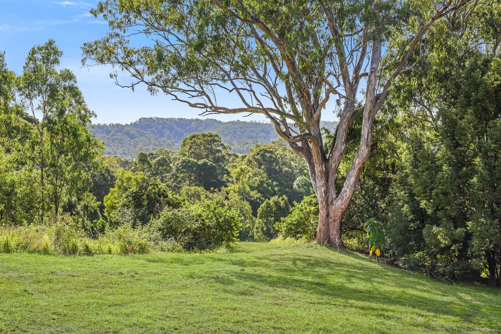 62/ Mulholland Drive Nambour QLD, Nambour - Thumbnail 5