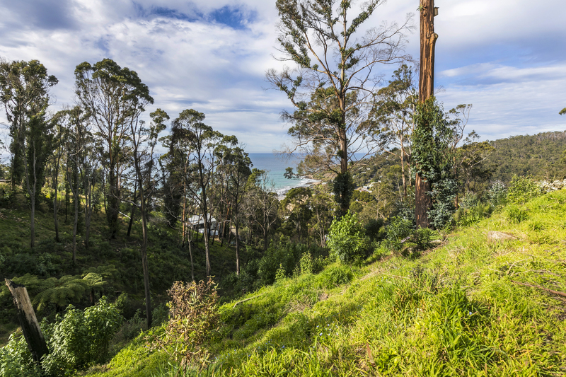26 Karingal Drive, Wye River, VIC, Wye River - Thumbnail 5