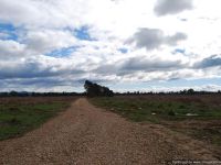 103 Fernbank-Stockdale Road, Stockdale VIC, Stockdale - Image 1