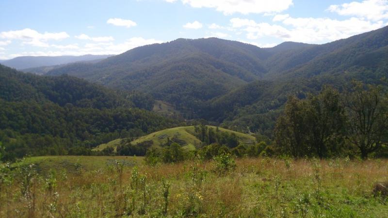 , YARROWITCH NSW 2354