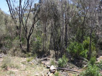 20 Rubicon Rise, Northdown, Northdown - Thumbnail 2