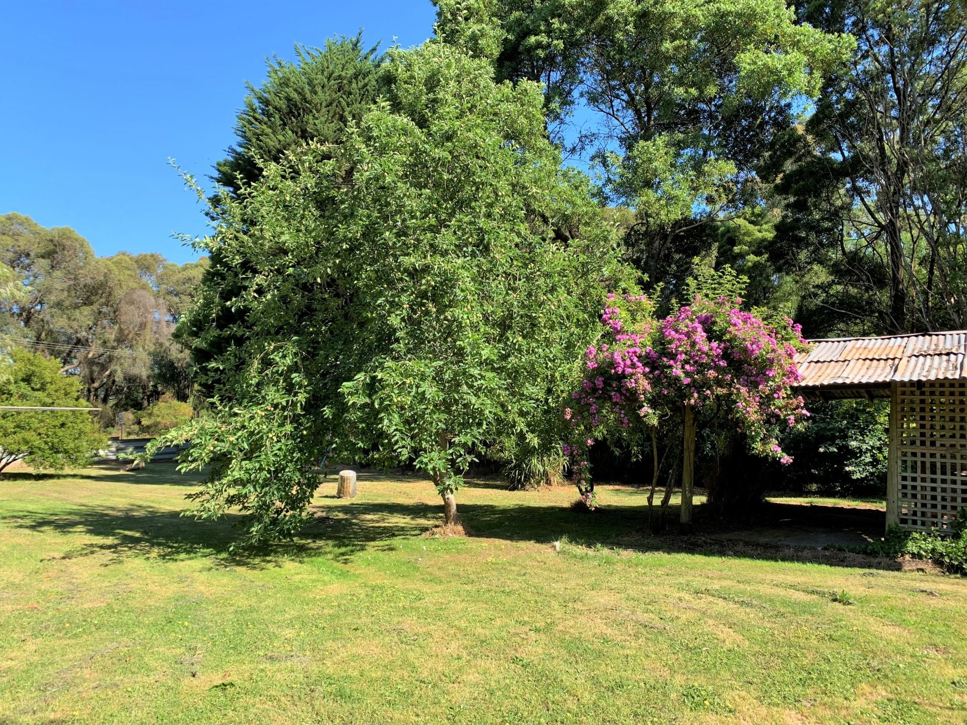 115 Old Beech Forest Road GELLIBRAND VIC, Gellibrand - Thumbnail 7
