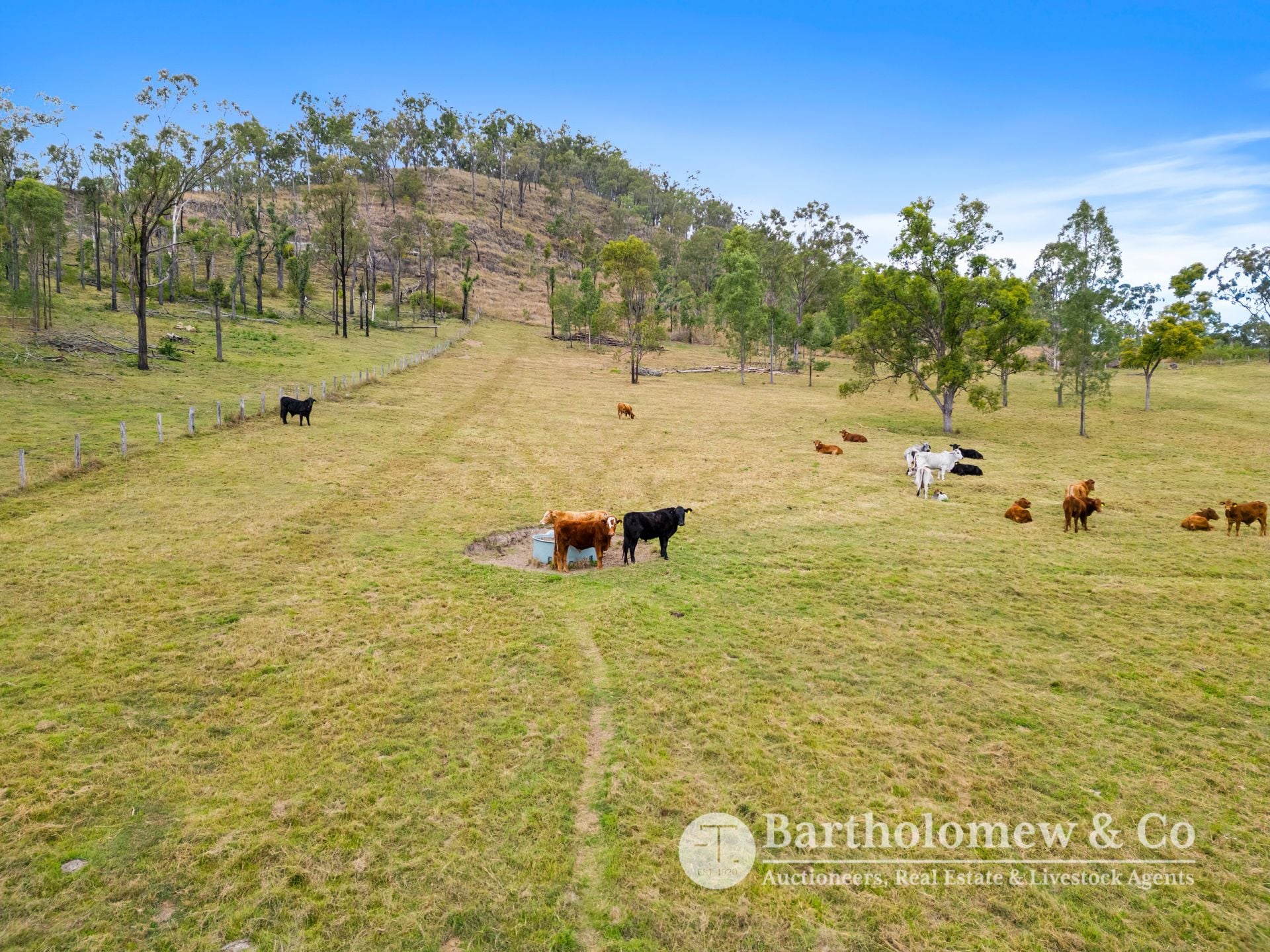 Upper Allan Creek Road Bromelton QLD, Bromelton - Thumbnail 8