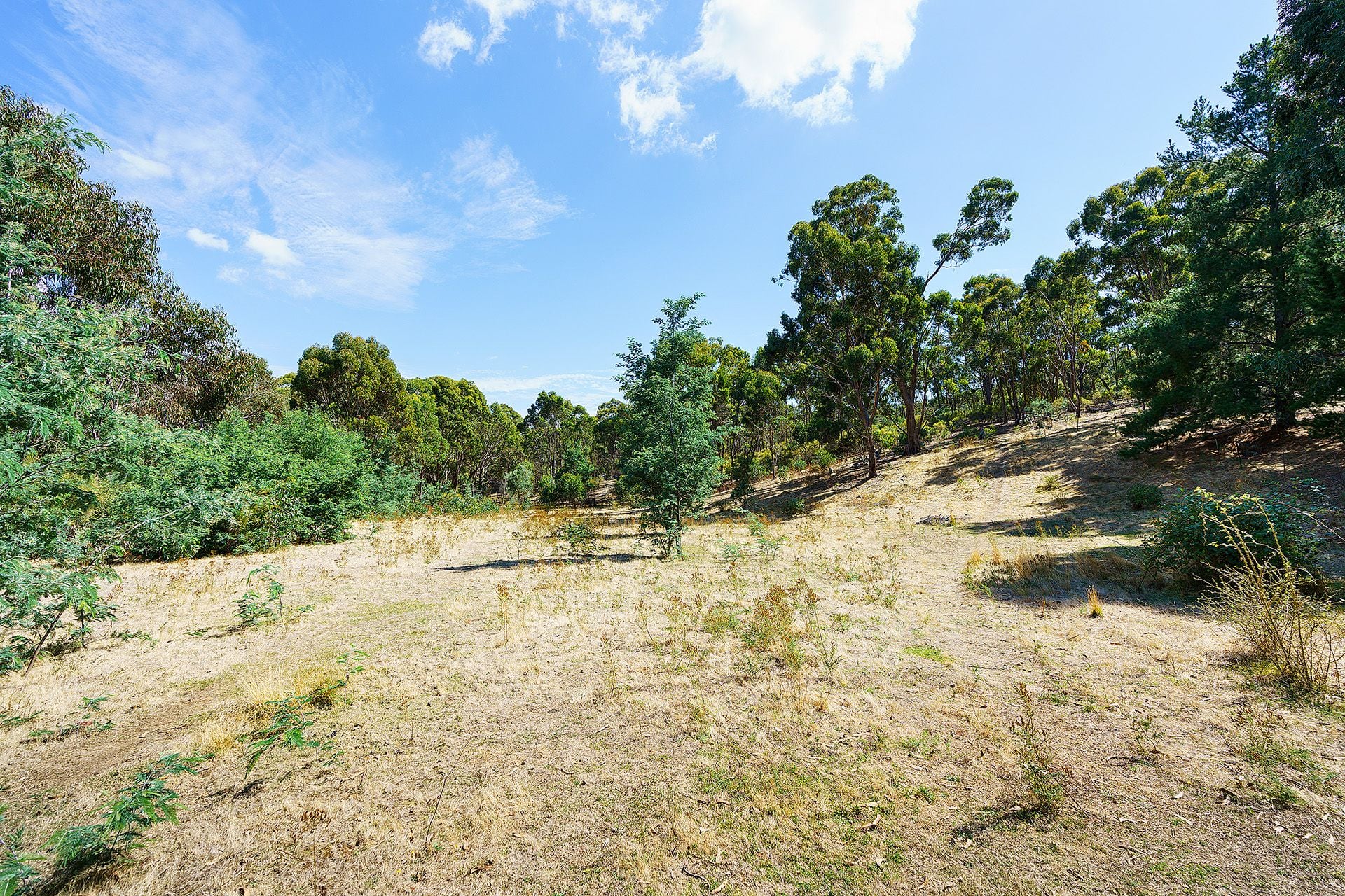 5 Adams Road, Harcourt - Thumbnail 6