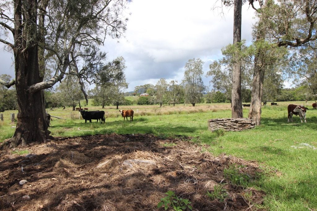 , WAUCHOPE NSW 2446