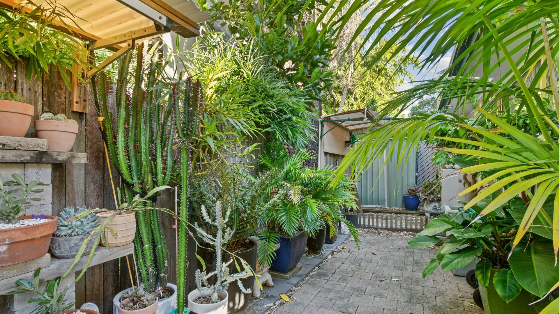 1/77 Parker Street Maroochydore QLD, Maroochydore - Thumbnail 7