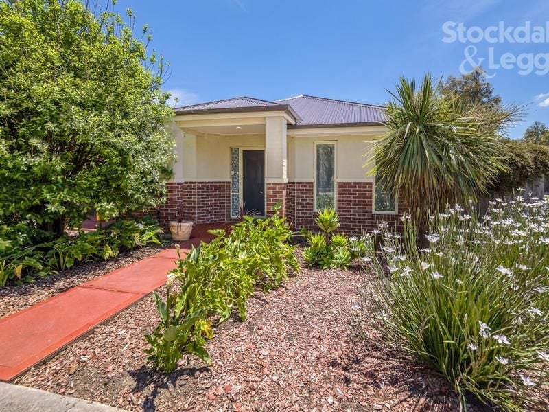 17 Nighthawk Blvd SOUTH MORANG, South Morang - Thumbnail 3