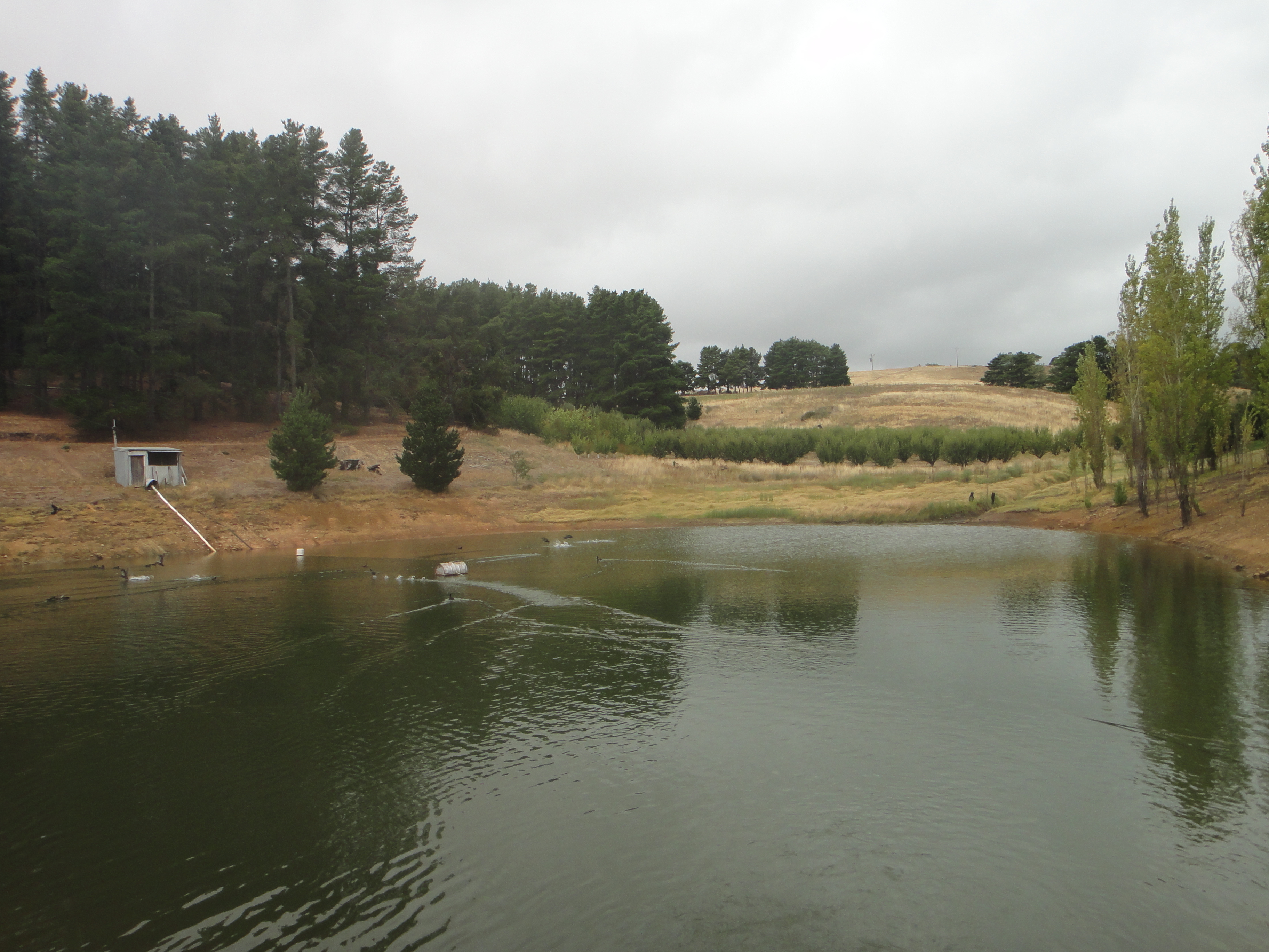 Sold property Undisclosed for 45 Mewett Road Kersbrook , SA 5231