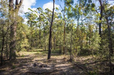 Build Your Dream Home