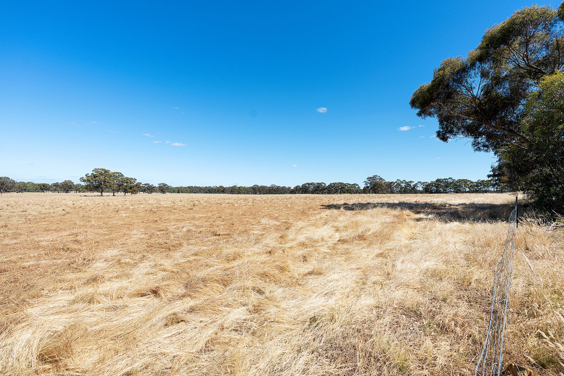 20 Ross Drive, Castlemaine - Thumbnail 5