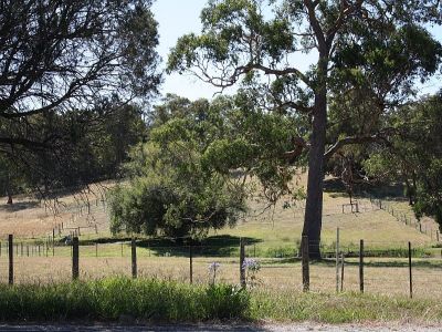 1215 Port Sorell Road, Port Sorell, Port Sorell - Thumbnail 7