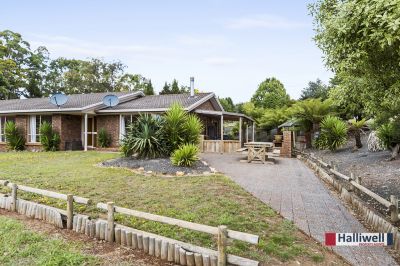 3
 
 
 
  
 
 
 1
 
 
 
  
 
 
 2
 
 
 
 
 
 
 
 29 Farquhar Place, Kindred TAS 7310, Kindred - Thumbnail 3