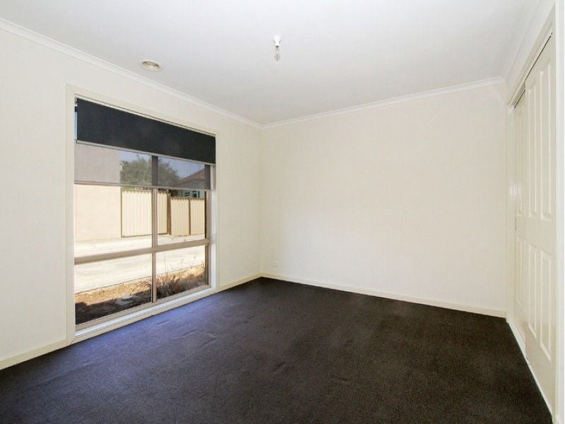 Modern, clean and perfect for your needs!