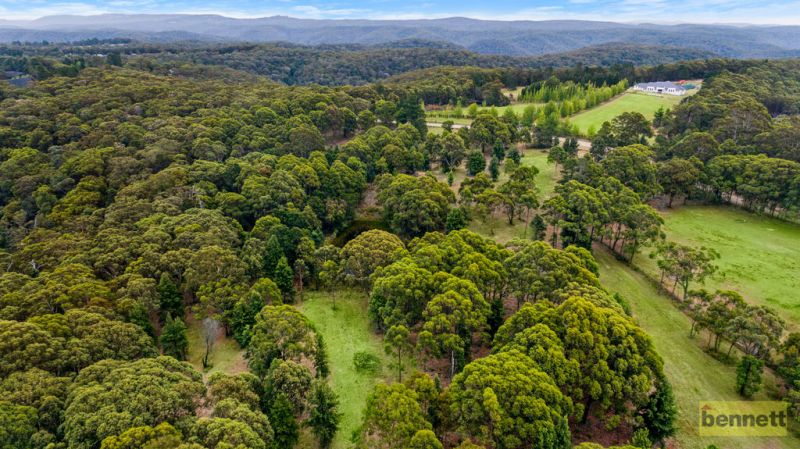 996 Mountain Lagoon Road, Bilpin - Thumbnail 5