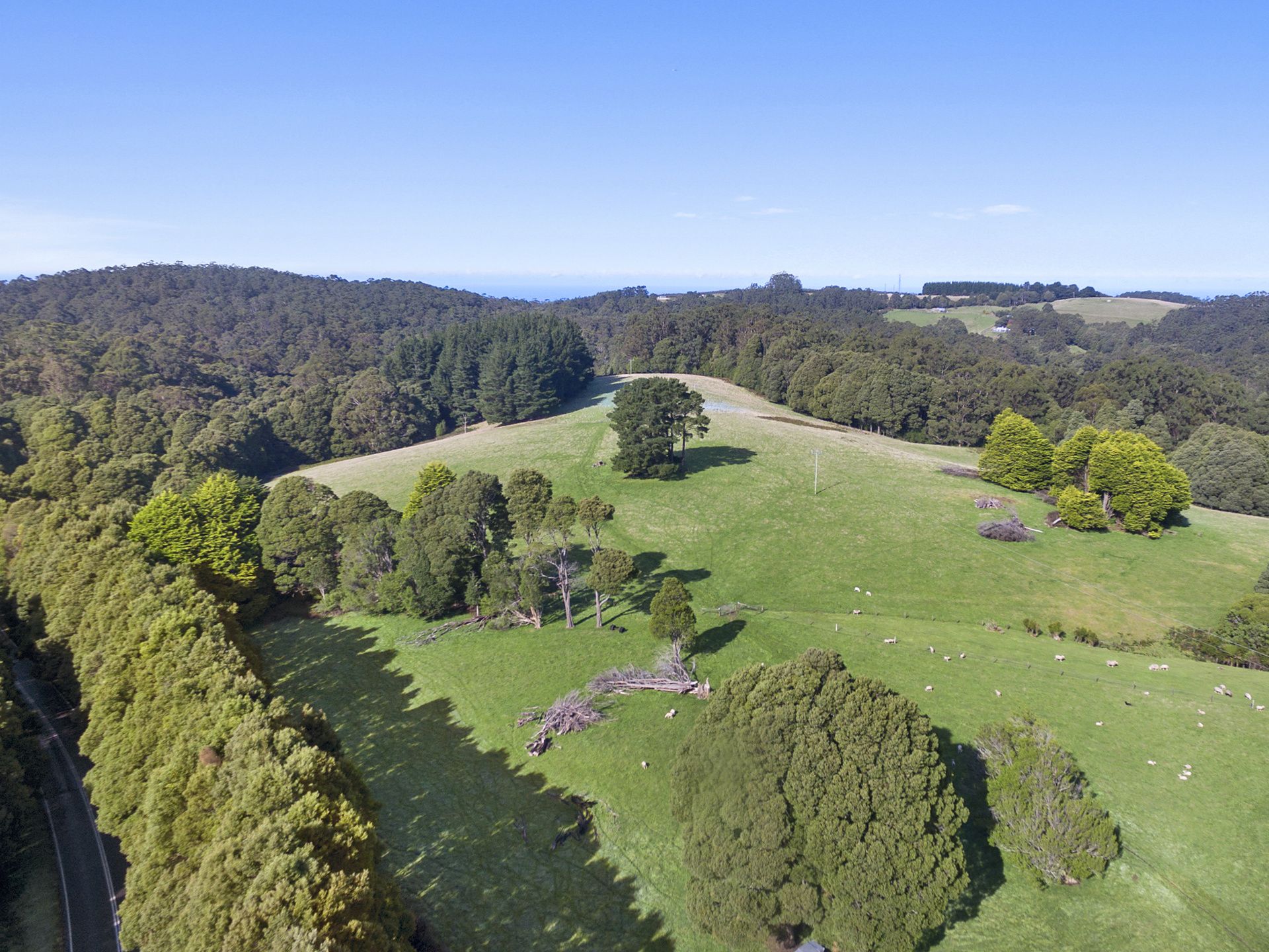1215 Skenes Creek Road, Apollo Bay - Thumbnail 5