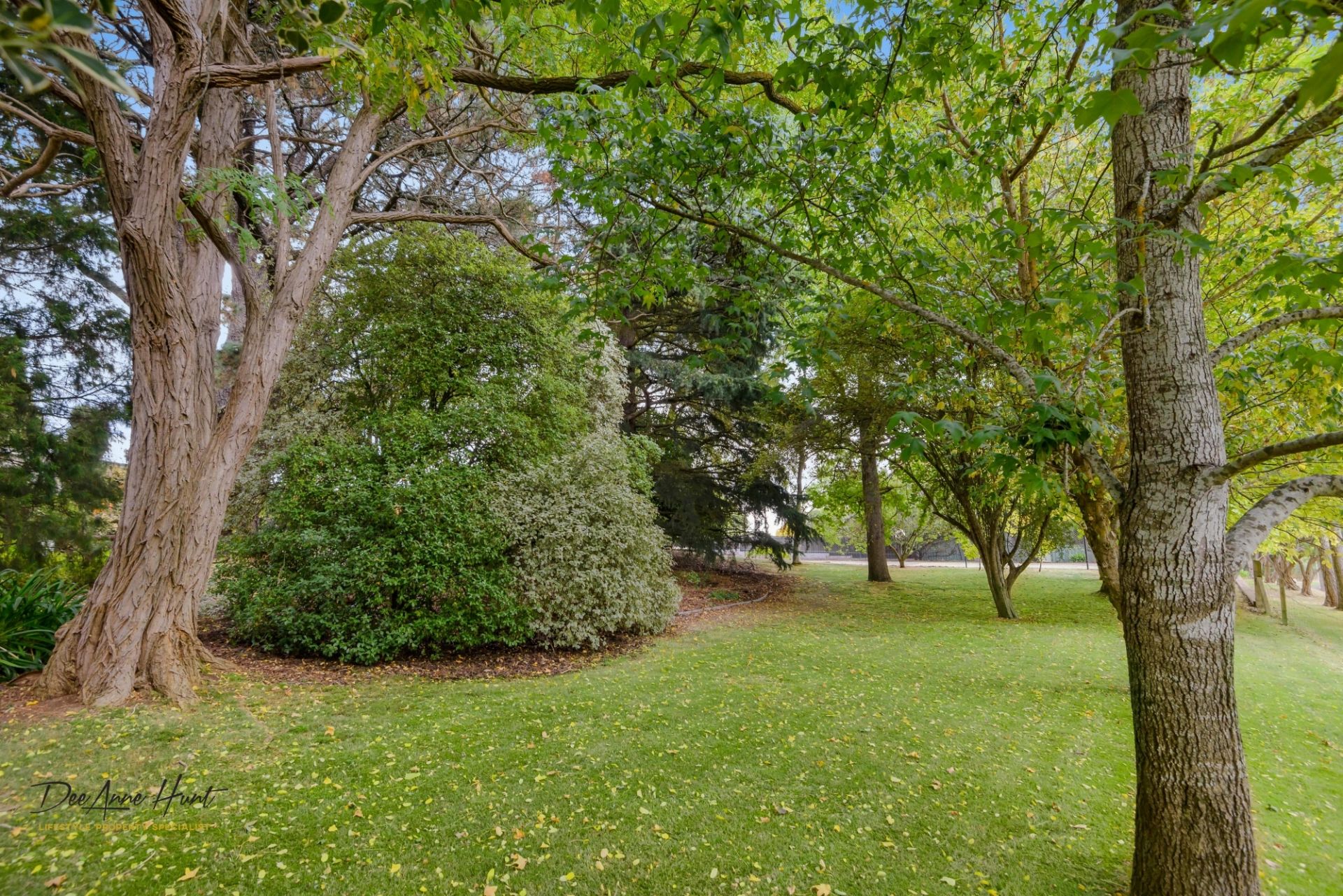 7 Nation Ridge Road, Aldgate Williams Real Estate