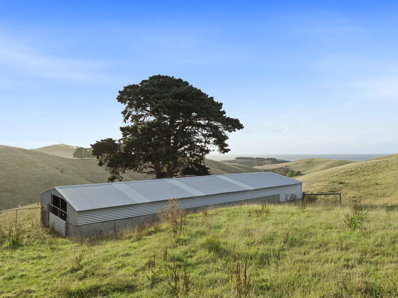 1/200 Busty Road, Apollo Bay, VIC, Apollo Bay - Thumbnail 2