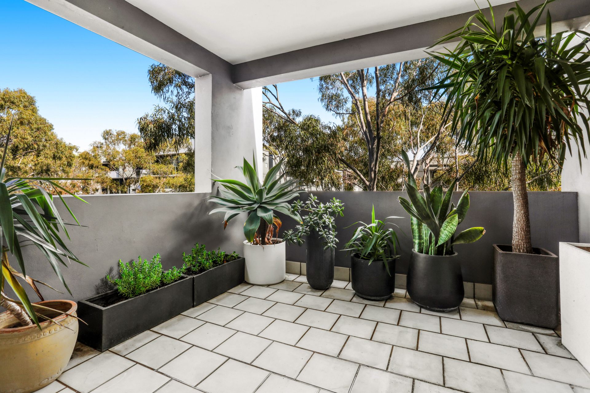 22/9 Grandstand Parade, Zetland, Zetland - Thumbnail 6