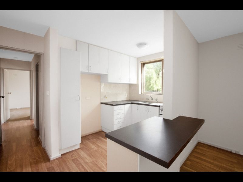 3A/41 Evansdale Road, Hawthorn - Thumbnail 4
