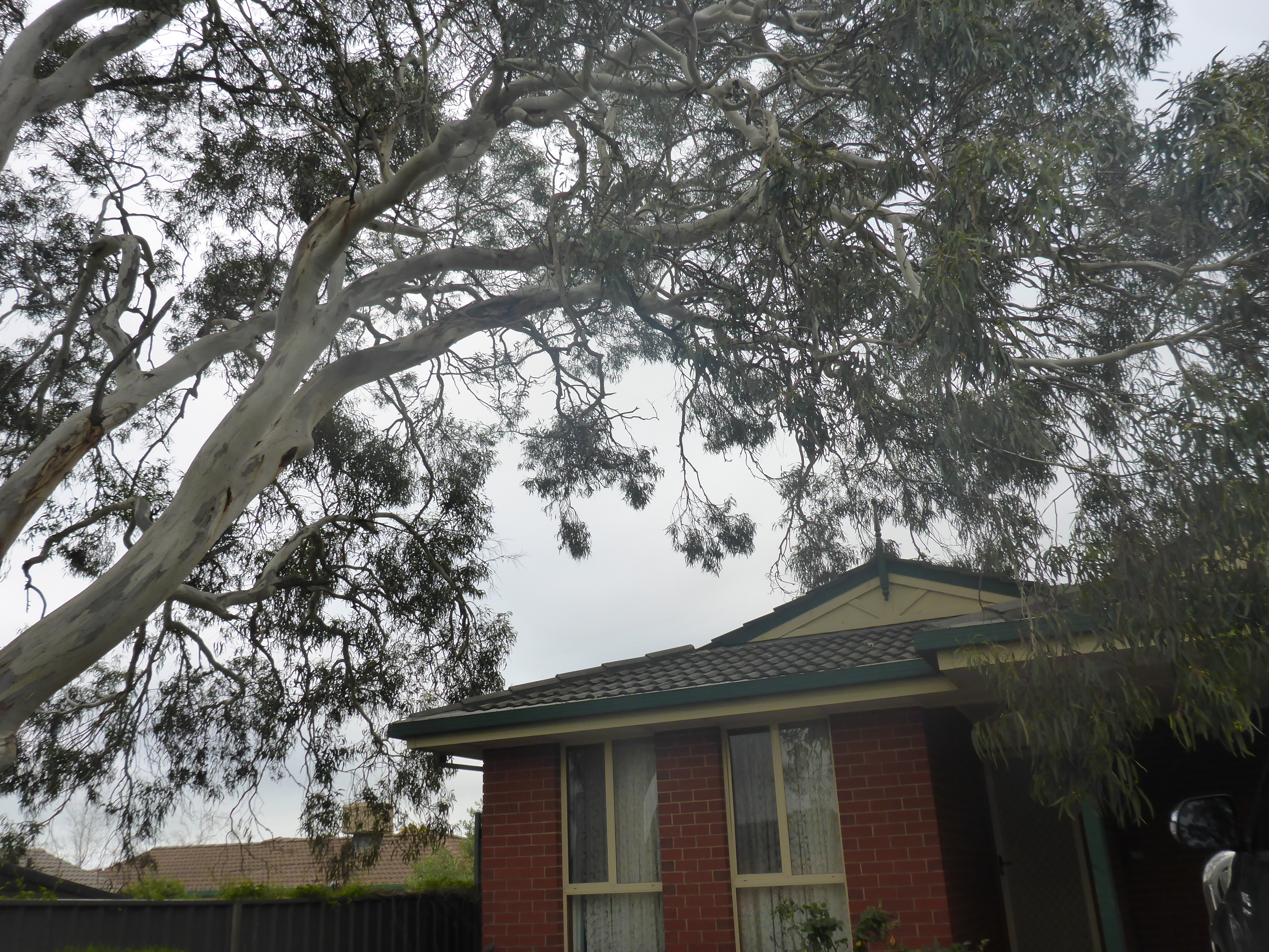 21a Jeanette Crescent Aberfoyle Park 5159