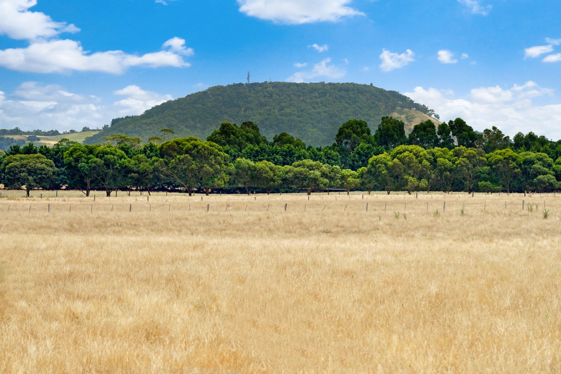 Lot 2 Hopgoods Road Clarendon VIC, Clarendon - Thumbnail 5