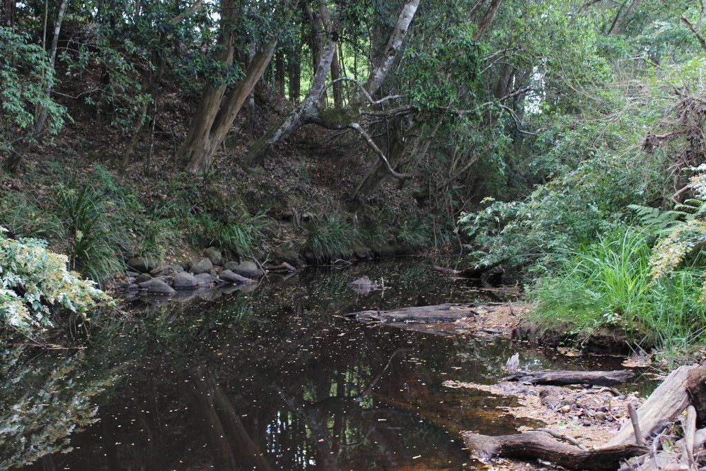 990 Stewarts River Road, LORNE NSW 2439