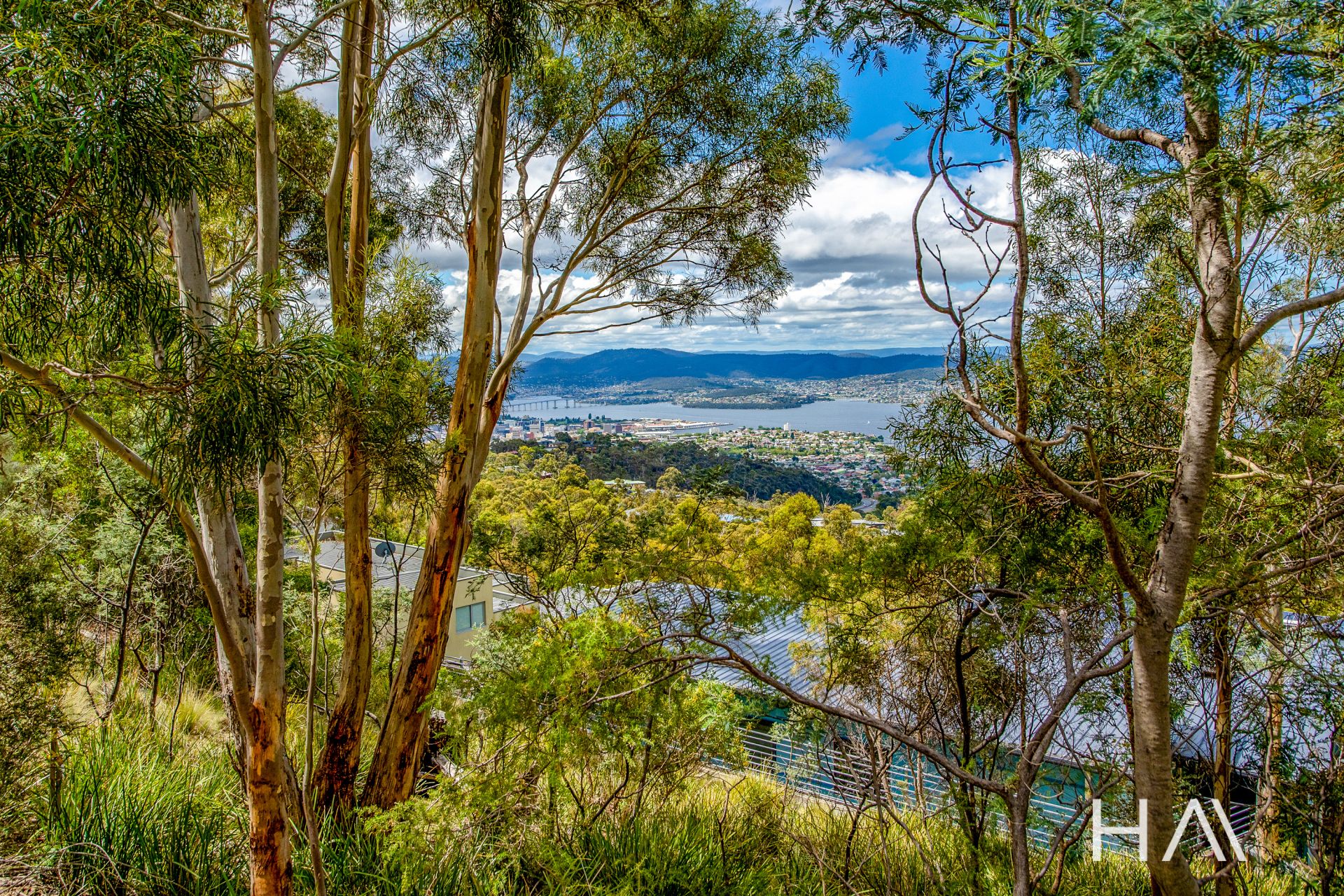 31 Hillcrest Road, Tolmans Hill Harrison Agents