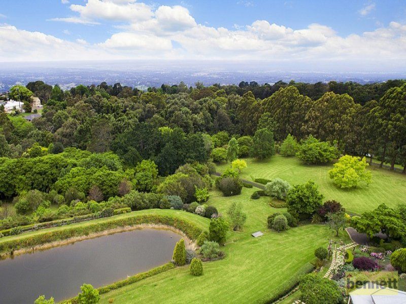 33 Douglas Road, Kurrajong Heights - Thumbnail 4
